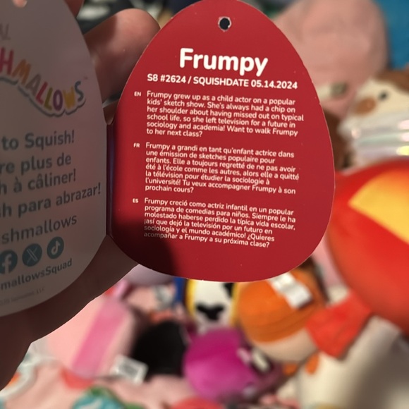 Frumpy the grumpyy evil Valentine’s Day Bigfoot squishmallow NWT hard to find - Picture 6 of 6